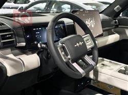 بي واي دي ليوبارد 7